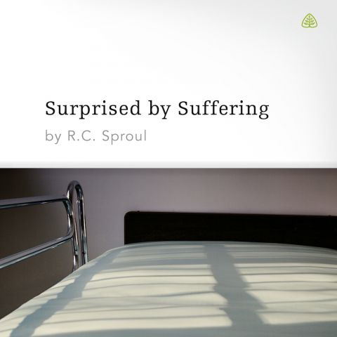 Surprised by Suffering