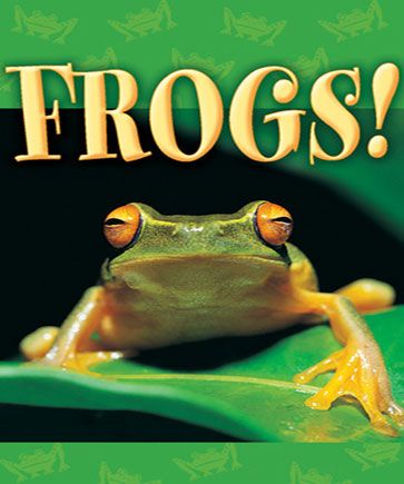 Frogs!