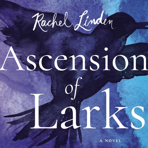 Ascension of Larks