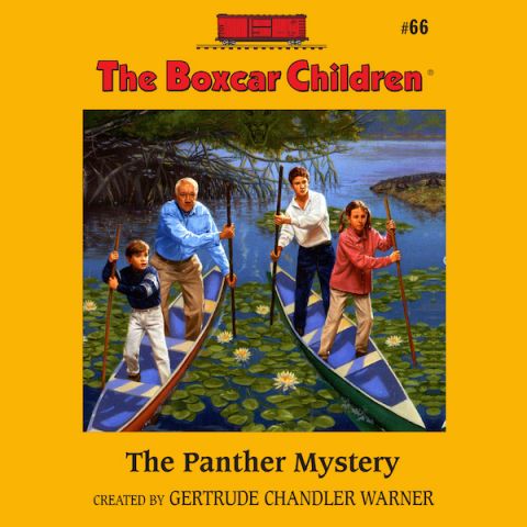 The Panther Mystery