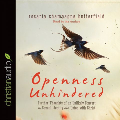 Openness Unhindered