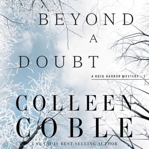 Beyond a Doubt (Rock Harbor Series, Book #2)