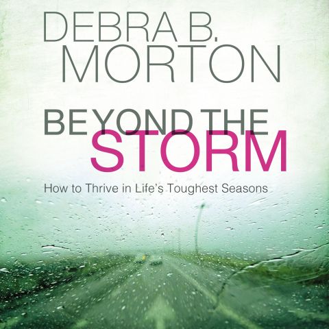 Beyond the Storm