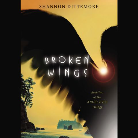 Broken Wings (Angel Eyes Trilogy, Book #2)