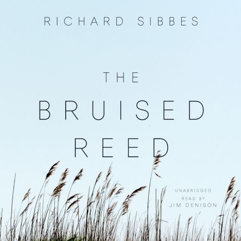 The Bruised Reed