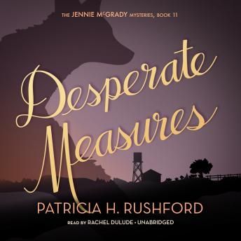 Desperate Measures (The Jennie McGrady Mysteries, Book #11)