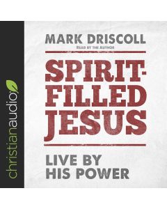 Spirit-Filled Jesus