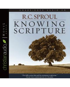 Knowing Scripture