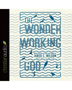 The Wonder-Working God