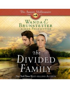 The Divided Family (The Amish Millionaire, Book #5)