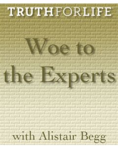 Woe to the Experts