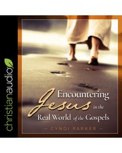 Encountering Jesus in the Real World of the Gospels