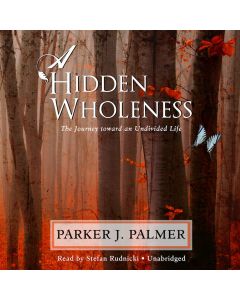 The Hidden Wholeness