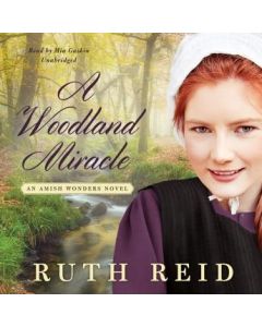 A Woodland Miracle (The Amish Wonders Series, Book #2)