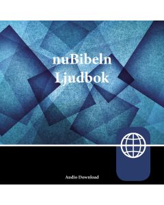 Zondervan nuBibeln, Audio Download